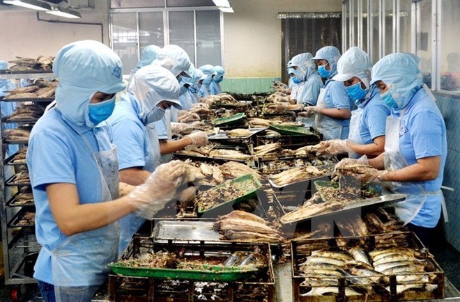 附圖：2018年前兩月越南水產(chǎn)品出口額同比增長(zhǎng)近30%。（圖片來源：越通社）